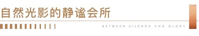 ㎡「天幕臻境」全新样板间登峯盛启新葡京保利世博天悦♐发布：240(图16)